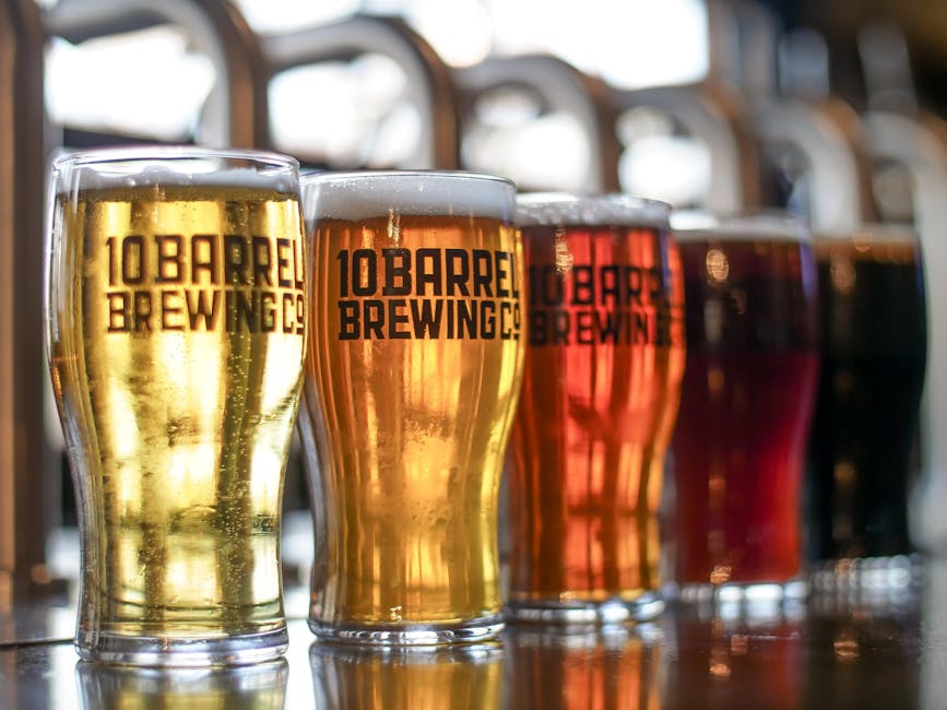 Craft-Beer-Dosen einer Kleinbrauerei mit modernem Grafikdesign